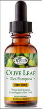 Load image into Gallery viewer, Olive Leaf Tincture (alcohol base)
