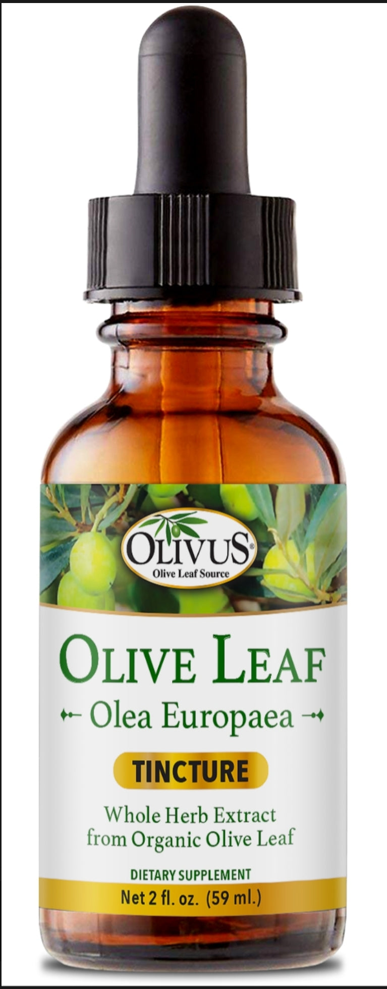 Olive Leaf Tincture (alcohol base)