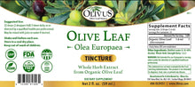 Load image into Gallery viewer, Olive Leaf Tincture (alcohol base)
